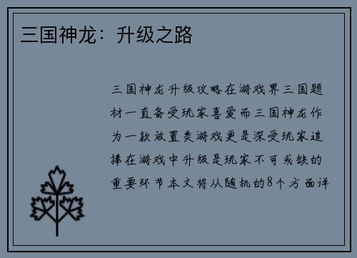 三国神龙：升级之路