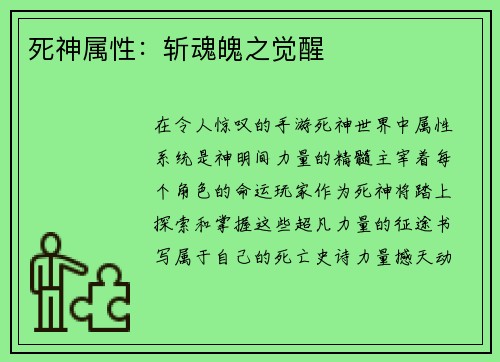 死神属性：斩魂魄之觉醒